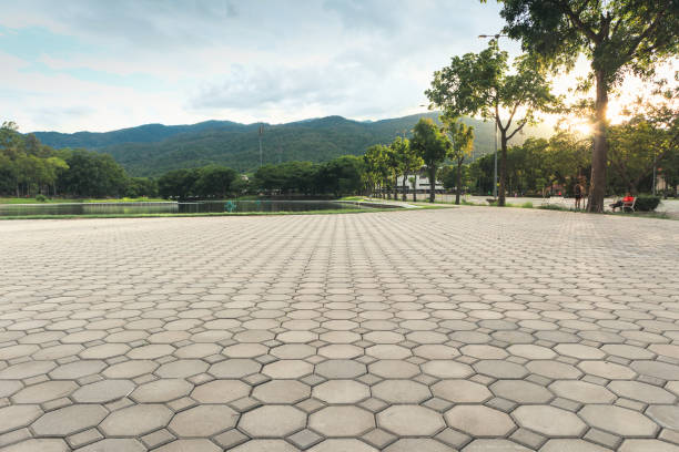 Best Commercial Driveway Pavers  in Bayou Lourse, LA